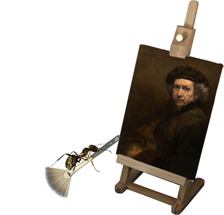 Rembrant van Rijn